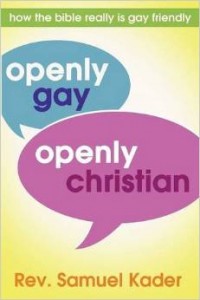 cover of Openly Gay, Openly Christian - second edition