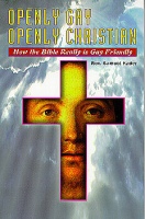 cover of Openly Gay, Openly Christian - first edition